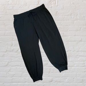 NWOT AnyBody Regular Cozy Knit Luxe Jogger Pant ~ Size L